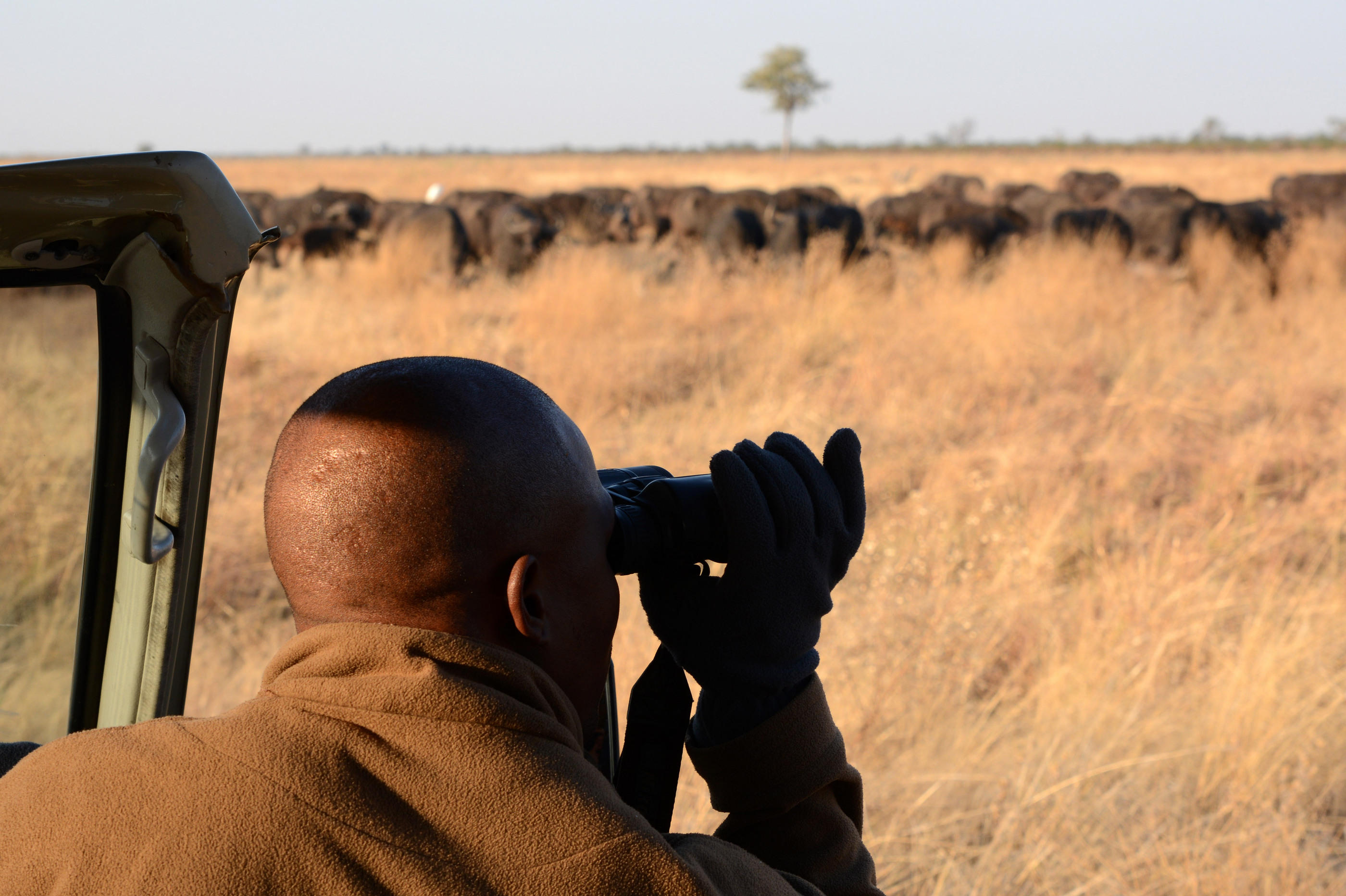 Camp Savuti - Botswana